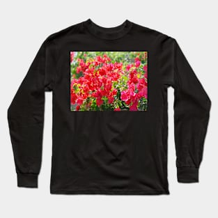 Pink Bush in Palm Desert California Long Sleeve T-Shirt